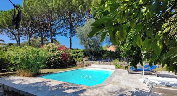 terrasse et piscine avec transats au soleil et a l'ombre des oliviers, au choix