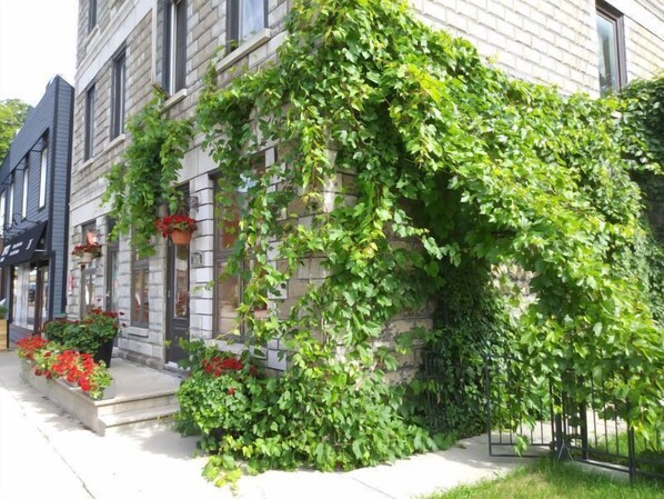 Front of property