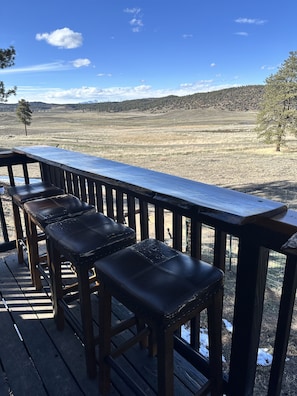 We built this live-edge balcony bar this Spring to enjoy the views and wildlife.