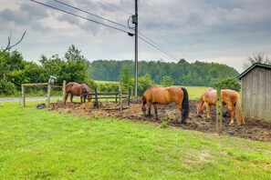 Horse Riding | Hiking Trails On-Site | 400 Acres