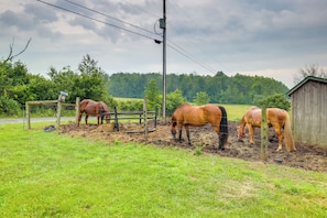 Horse Riding | Hiking Trails On-Site | 400 Acres