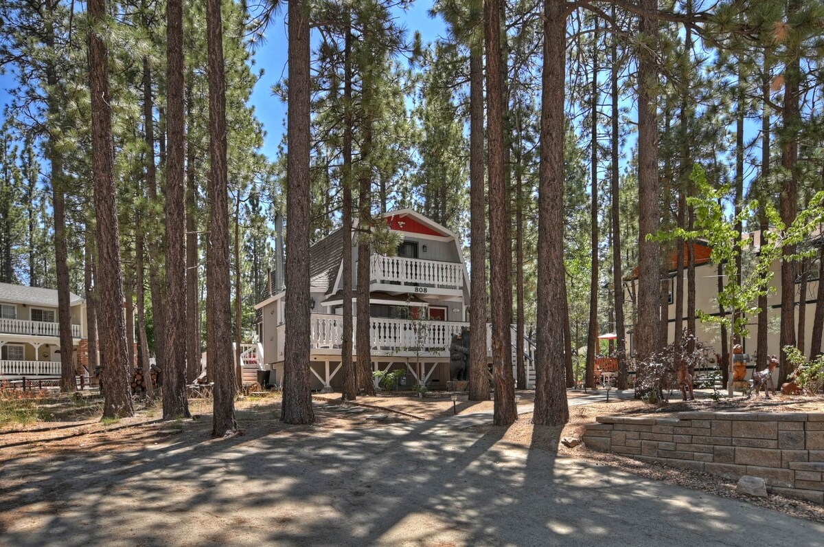 Main Image