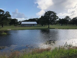 Udendørsområde