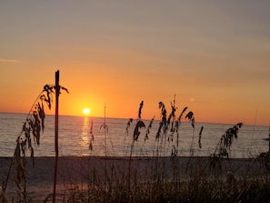 Vue sur la plage/l’océan