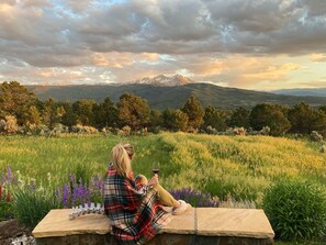 Views of Mt Sopris!