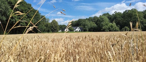 Das Ferienhaus Ensemble "Schöne Aussichten" ist eingebettet in die Natur. 