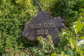 Wild Rose