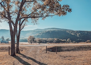 Terrenos do alojamento