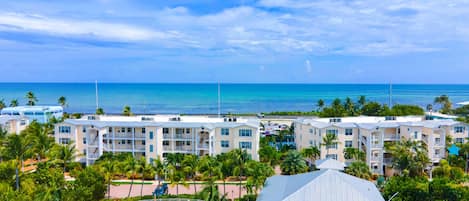 Welcome to Mother Ocean Oceanfront Condo in Islamorada, FL