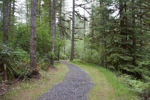 Trail along Washougal River at the Kanati Falls Ranch.