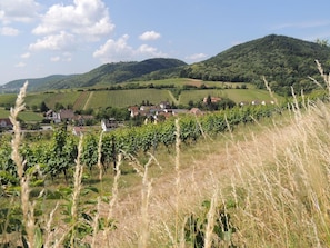 Ferienwohnung "Dorfblick"