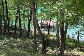 Dock View
