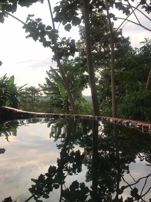Natural pool