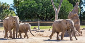 Reid Park Zoo