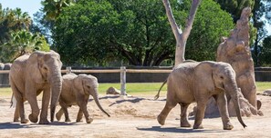 Reid Park Zoo