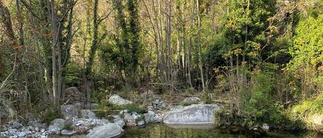 Parco della struttura