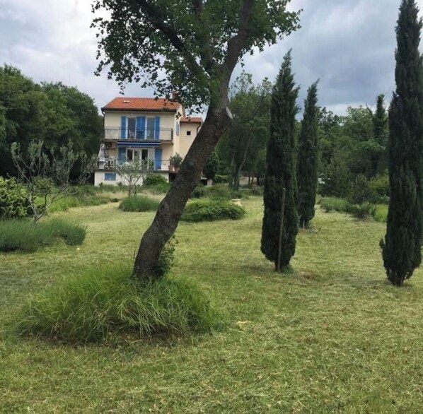 Exteriör