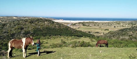 Bordeira Beach view from the hill
