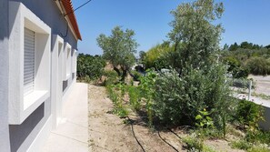 Traseira da casa