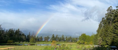 Rainbows often appear right in front of yard after a rainy day