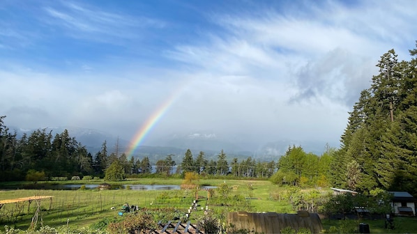Rainbows often appear right in front of yard after a rainy day