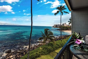 Front row seat for watching the turtles frolic and whales breach