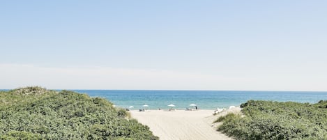 Playa