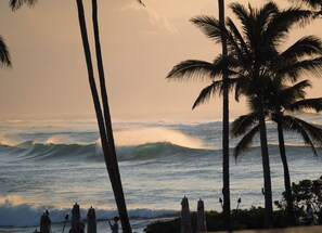 Incredible sunsets from Turtle Bay outside bar. Open to everyone. 