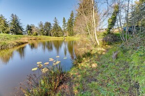 On-Site Creek & Pond