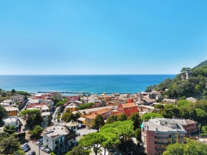 Vue aérienne