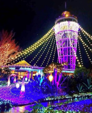 Enoshima illumination