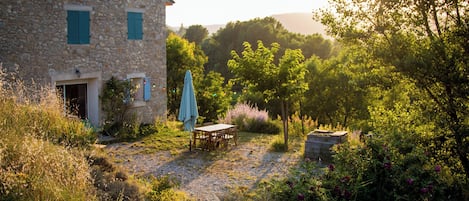 Jardin privatif au couché du soleil