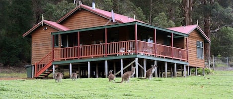 Chalet 2 is high on the hill, with a forest backdrop and views of the paddock.