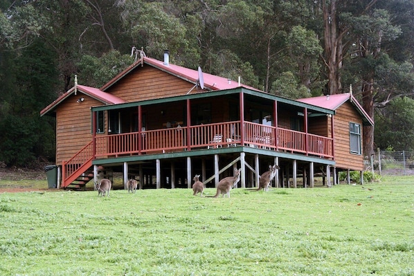 Chalet 2 is high on the hill, with a forest backdrop and views of the paddock.