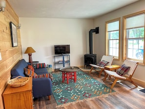 Living room with pull-out sofa and propane heater