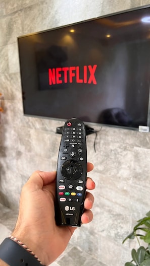 Fernseher