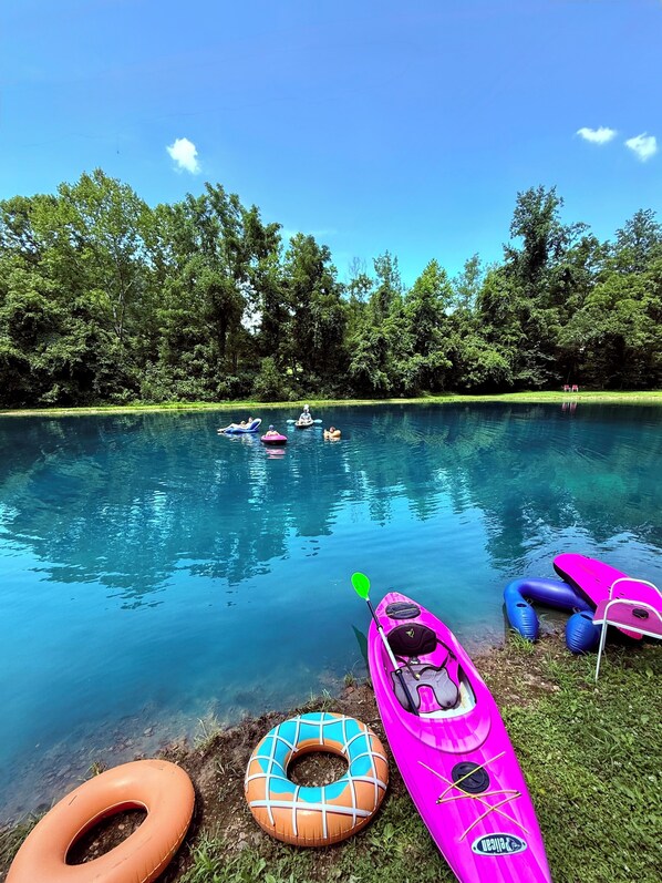 Your own paradise! 1 acre, 100 percent spring water swimming!