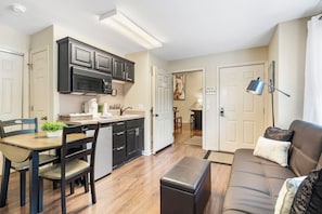 Living Area/Kitchen
