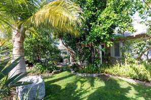 Front house grass, Palms, rocks, fruit trees, and hidden porch