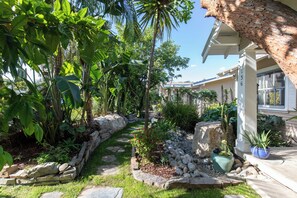 Front house walkway tropical foliage and rocks