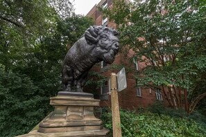 Buffaloes Statue