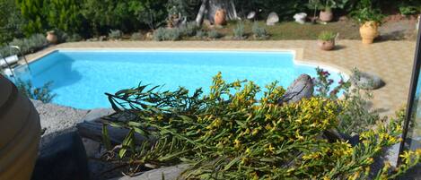 Piscine maison de vacances