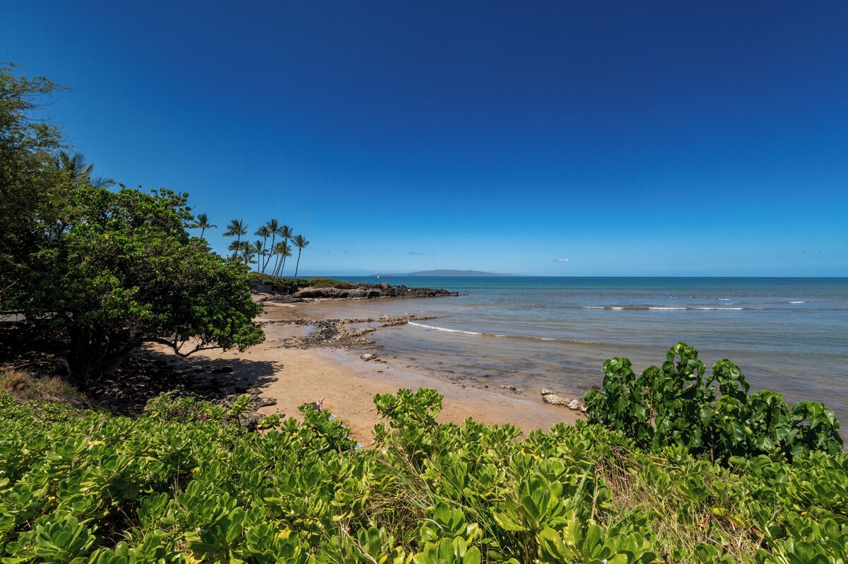 Recent remodel – Large 1BR w/ ocean view and walk to excellent beaches/eateries