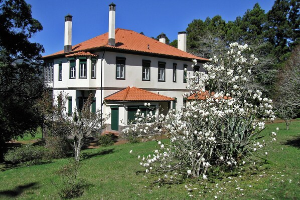 Außenseite Ferienhaus [Sommer]