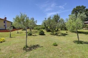 Vue de la maison de vacances [été]