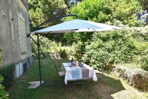 Garden [summer]