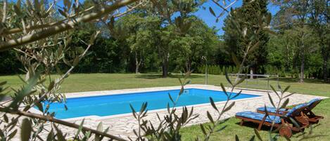 Holiday Home Swimming Pool