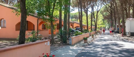 Esterno casa vacanze [estate]