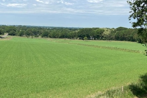 Region [summer] (&gt;5 km)