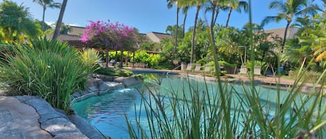 Tropical Pool Located Near the K Building